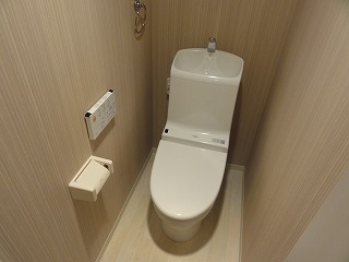 Toilet. Washlet with the toilet (by bus toilet)