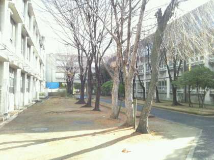 Primary school. Sakaishiritsu Goka Shohigashi to elementary school (elementary school) 1195m