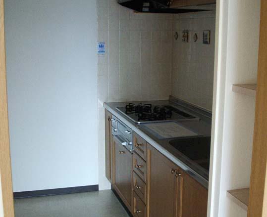 Kitchen. Indoor (10 May 2013) Shooting