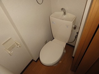 Toilet. Toilet shiny. (By bus toilet)