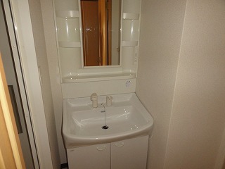 Washroom. Independent washroom (wash basin shampoo dresser)