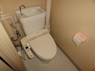 Toilet. Toilet with a bidet