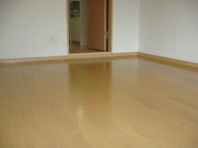 Other room space. Western-style (flooring)