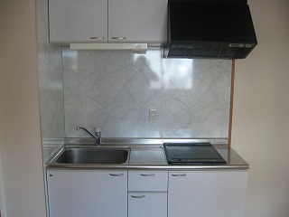 Kitchen. Kitchen (IH2 burner stove)