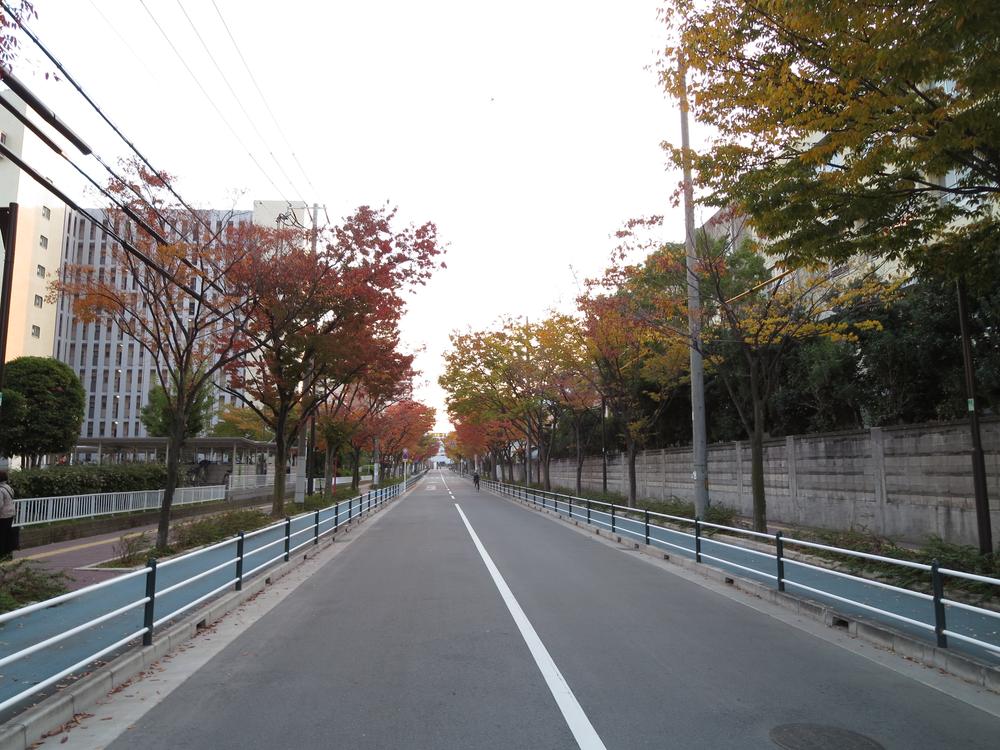 Streets around. Upon exiting the apartment sidewalks and bicycle paths are located on both sides, It is safe to shopping facilities. Roadside tree is also very beautiful.
