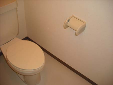 Other. Toilet