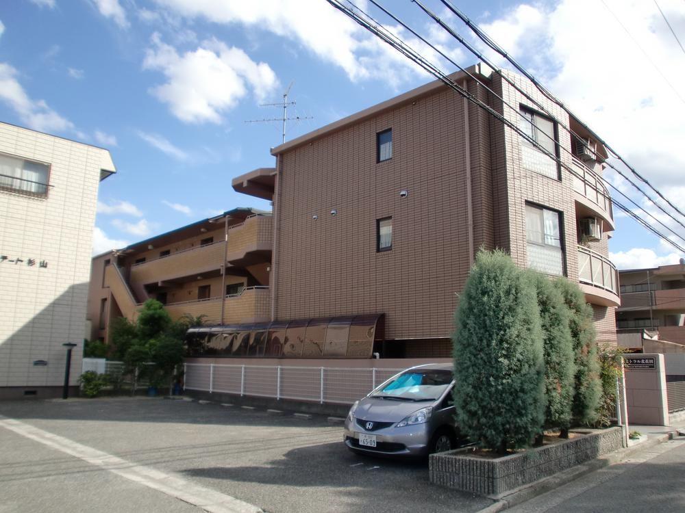 Parking lot. Common areas