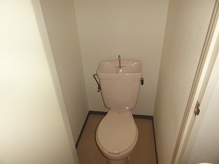Toilet. Toilet (by bus toilet)
