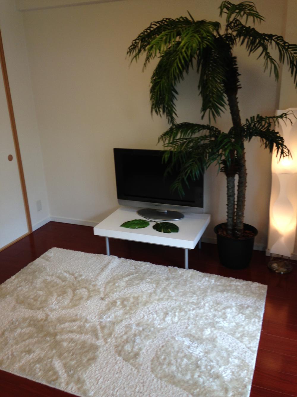 Living. Indoor (10 May 2013) Shooting