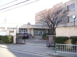 Primary school. Sakaishiritsu KANAOKA until elementary school 1092m