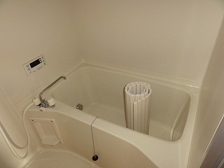 Bath. Beautiful bathroom. 