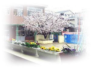 kindergarten ・ Nursery. Tokiwa 244m to nursery school