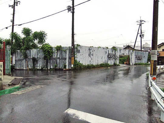Local land photo. appearance