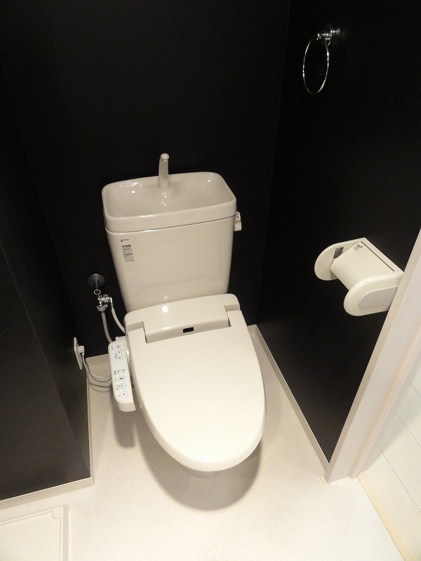 Toilet. Toilet (with washlet)