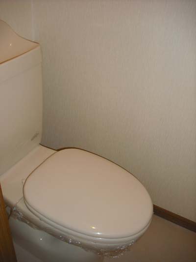 Other. Toilet