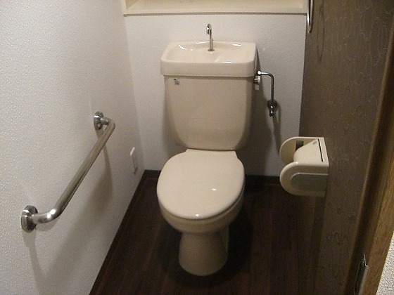 Toilet