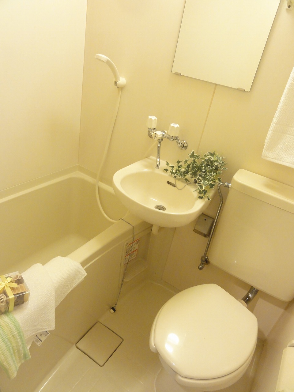 Bath. bathroom ・ Toilet (unit bus)