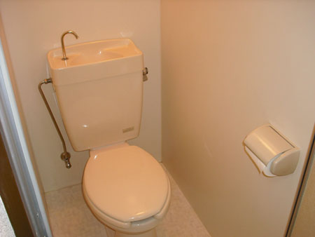 Other. Toilet