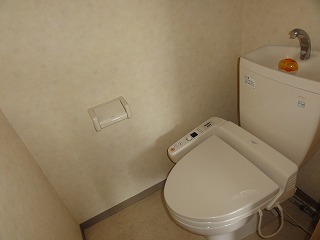 Toilet. Toilet (Washlet)