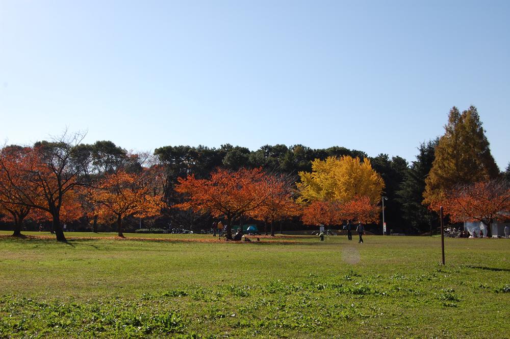 park.  ☆ park ☆ 1-minute walk of Oizumi green space (autumn leaves)