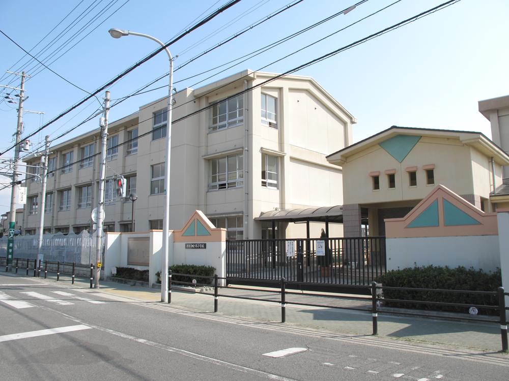 Primary school. Sakaishiritsu KANAOKA until elementary school 710m