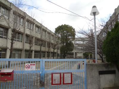 Primary school. Sakaishiritsu Goka Shohigashi to elementary school 1150m