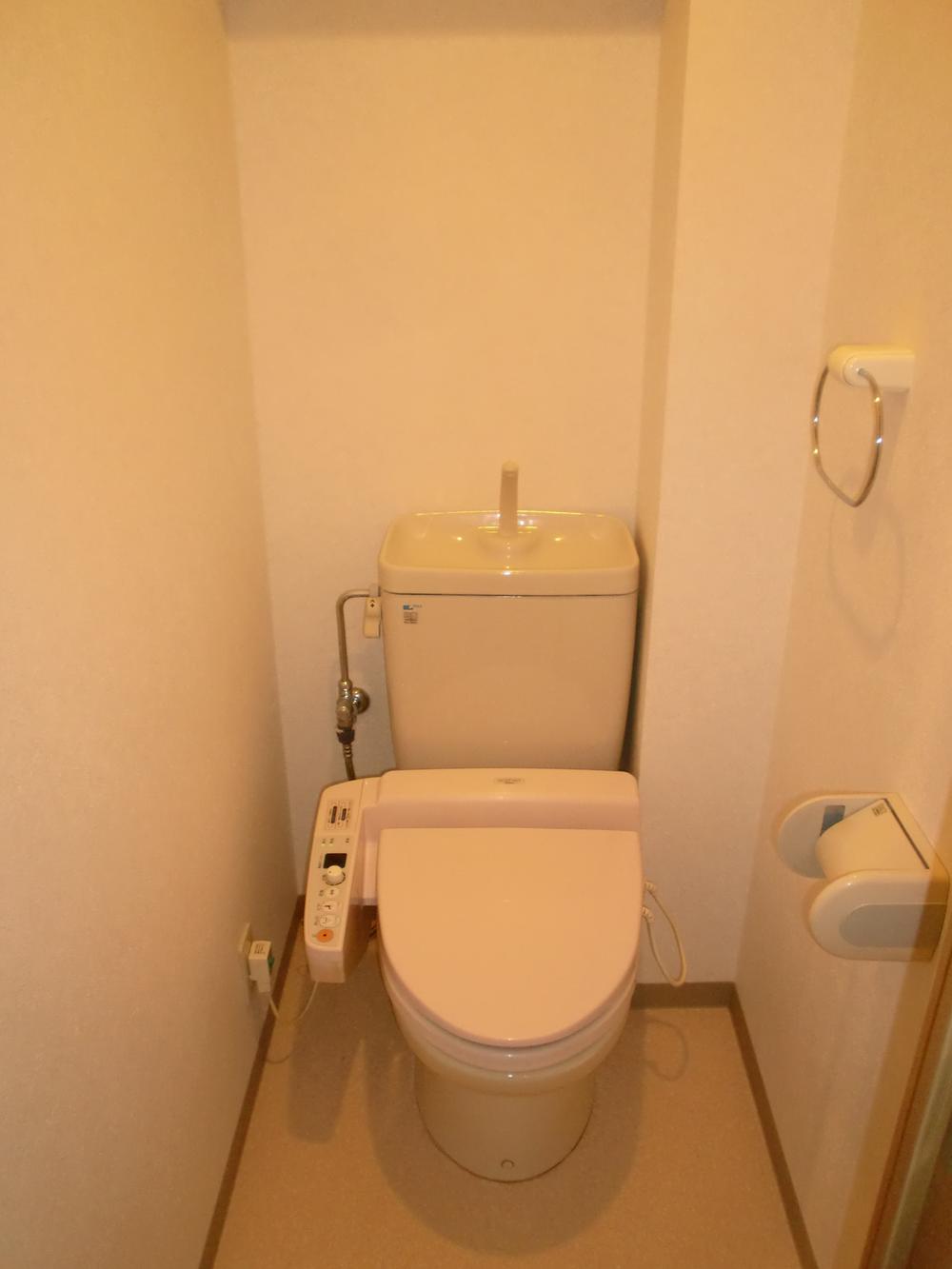 Toilet. Toilet with cleanliness. Towel over also equipped.