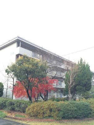 Local appearance photo. appearance