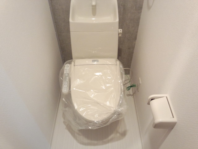 Other. Toilet