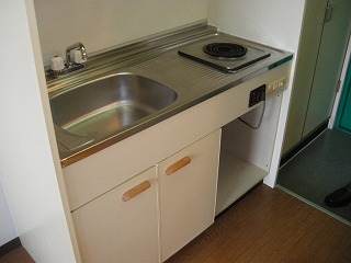 Kitchen. Kitchen (electric stove)