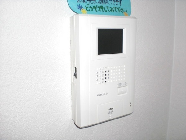 Security. Monitor with intercom