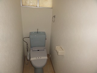 Toilet. It is shiny toilet. 