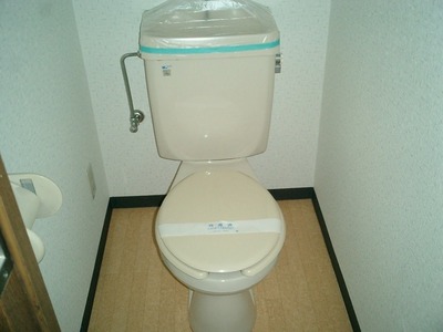 Toilet. Western-style toilet