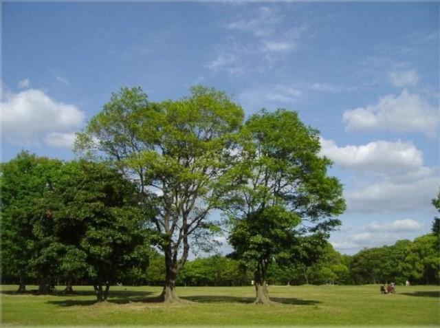 park. 1500m to Oizumi green space