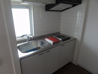 Kitchen. IH cooking heater with a kitchen ^^ (with window)
