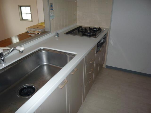 Kitchen. Indoor (June 2013) Shooting