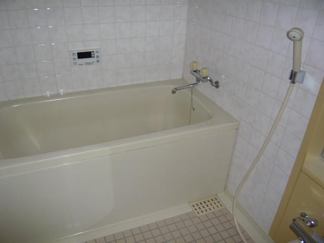 Bathroom. Indoor (06 May 2013) Shooting