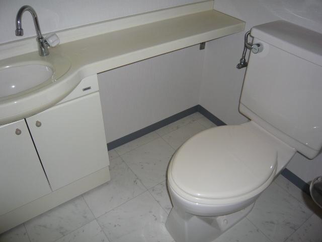 Toilet. Indoor (06 May 2013) Shooting