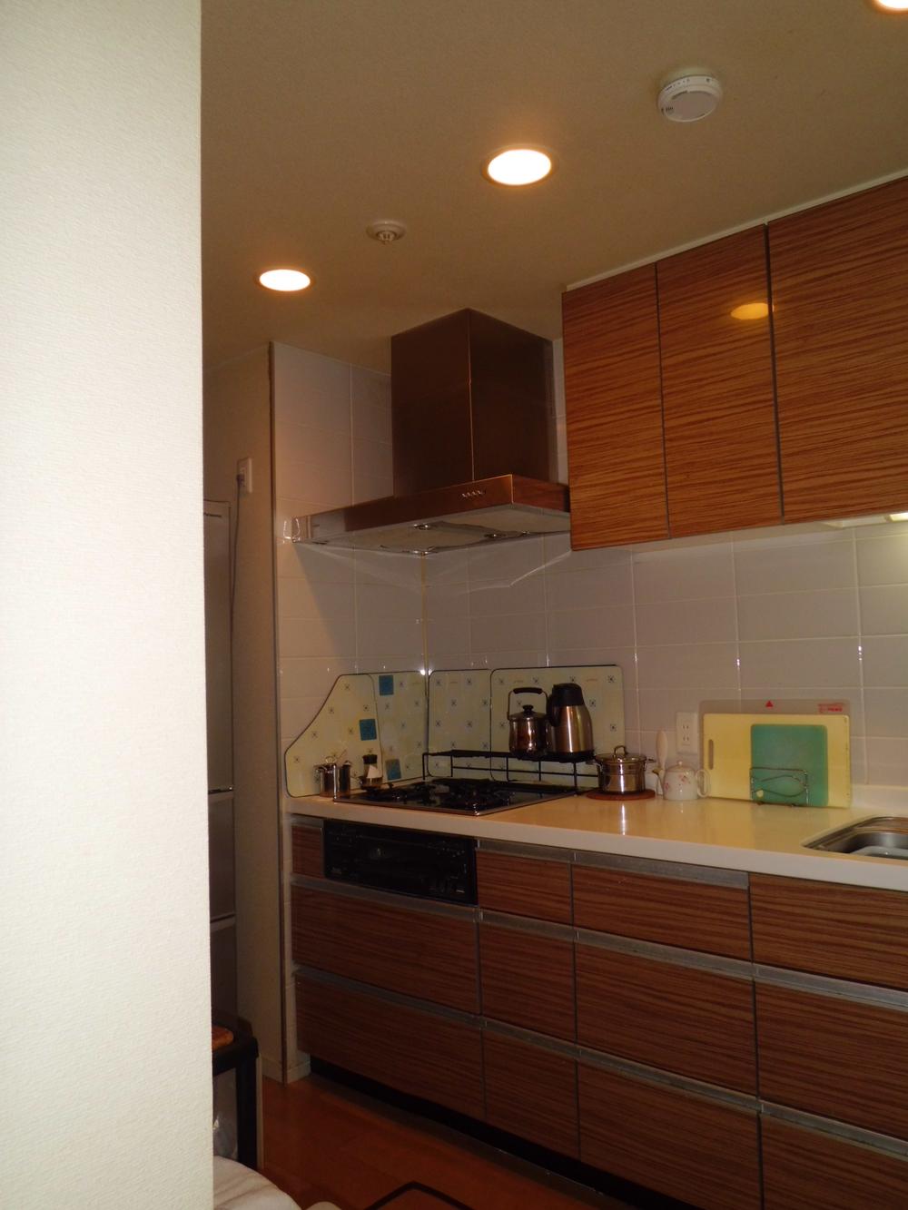 Kitchen. Indoor (10 May 2013) Shooting