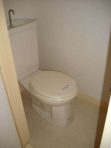 Other. Toilet