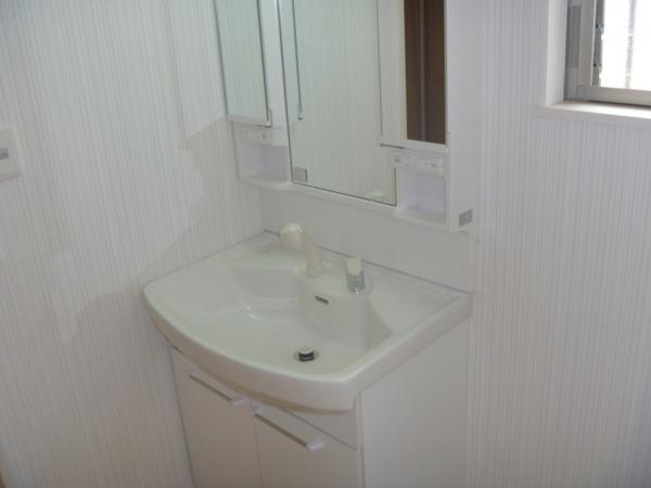 Wash basin, toilet. Smooth dressing in the wash basin shower