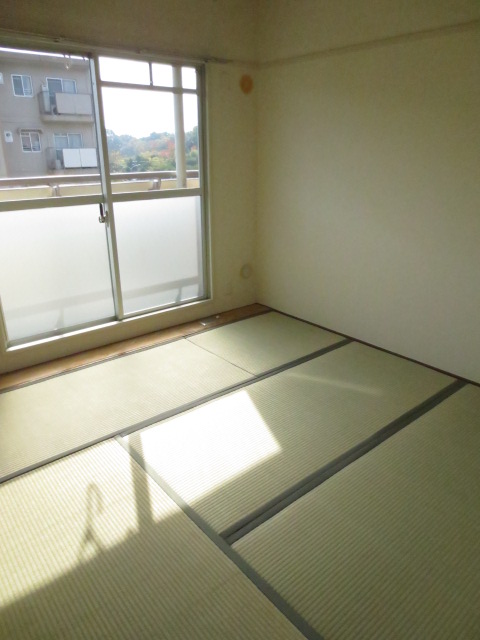 Living and room. Japanese-style 3