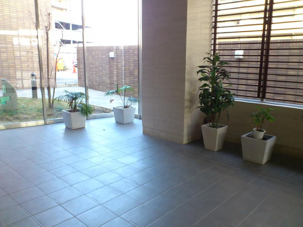 Entrance. Common areas