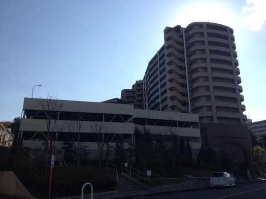 Local appearance photo. It is a photograph of appearance.