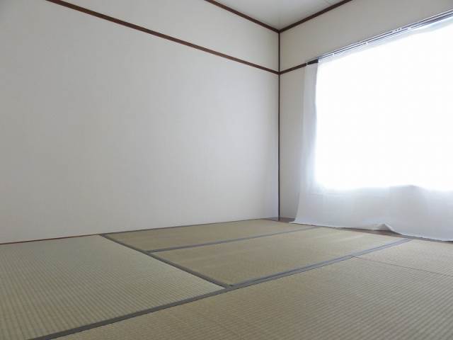 Living and room. Japanese-style room (sunny)