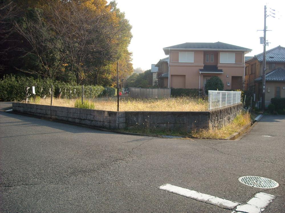 Local photos, including front road. Local (12 May 2013) shooting (from the north direction) 3-way road