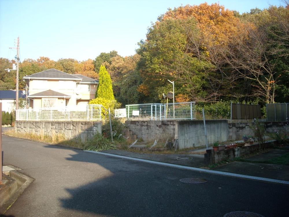 Local photos, including front road. Local (12 May 2013) shooting (from the south direction)