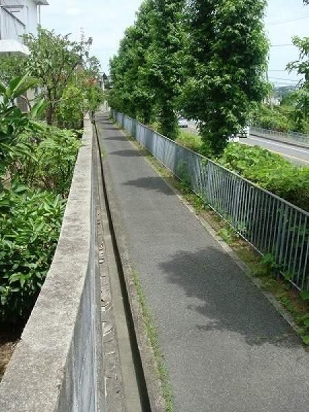 Other. East side pedestrian bicycle road