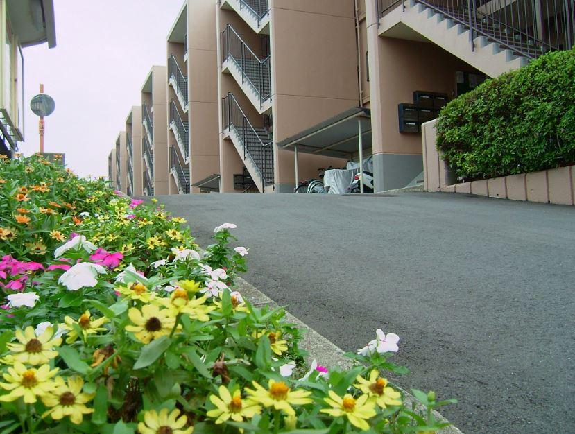 Local appearance photo. Local (September 2013) Shooting