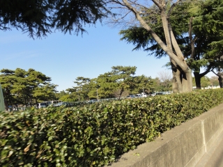 park. 150m until Sakai No. 55-14 public green space (park)
